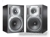 Behringer B2031A