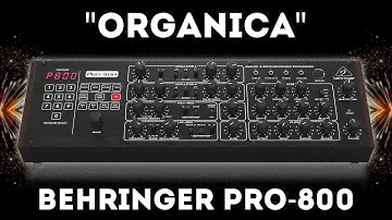 Behringer Pro-800 - "Organica" Soundset 50 Presets